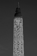 Wall_Art_Alphabet_Photography_Art_ 941